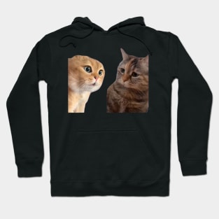 Two Cats Talking Meme, Cat Meme, Funny Cat Hoodie